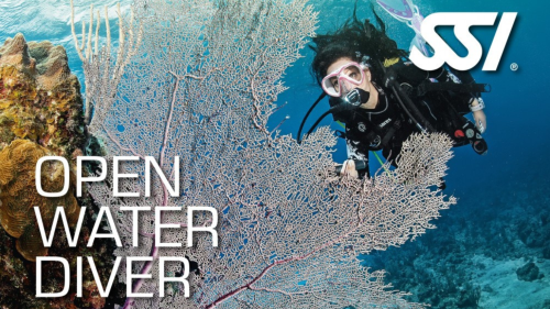 Kezdő Búvártanfolyam az aquaworldben-SSI OWD 1