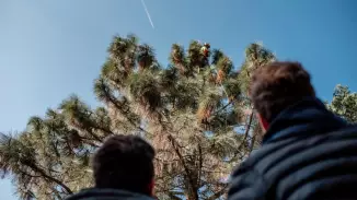 Belevaló apás program – Szörpkóstoló a Folly Arborétumban