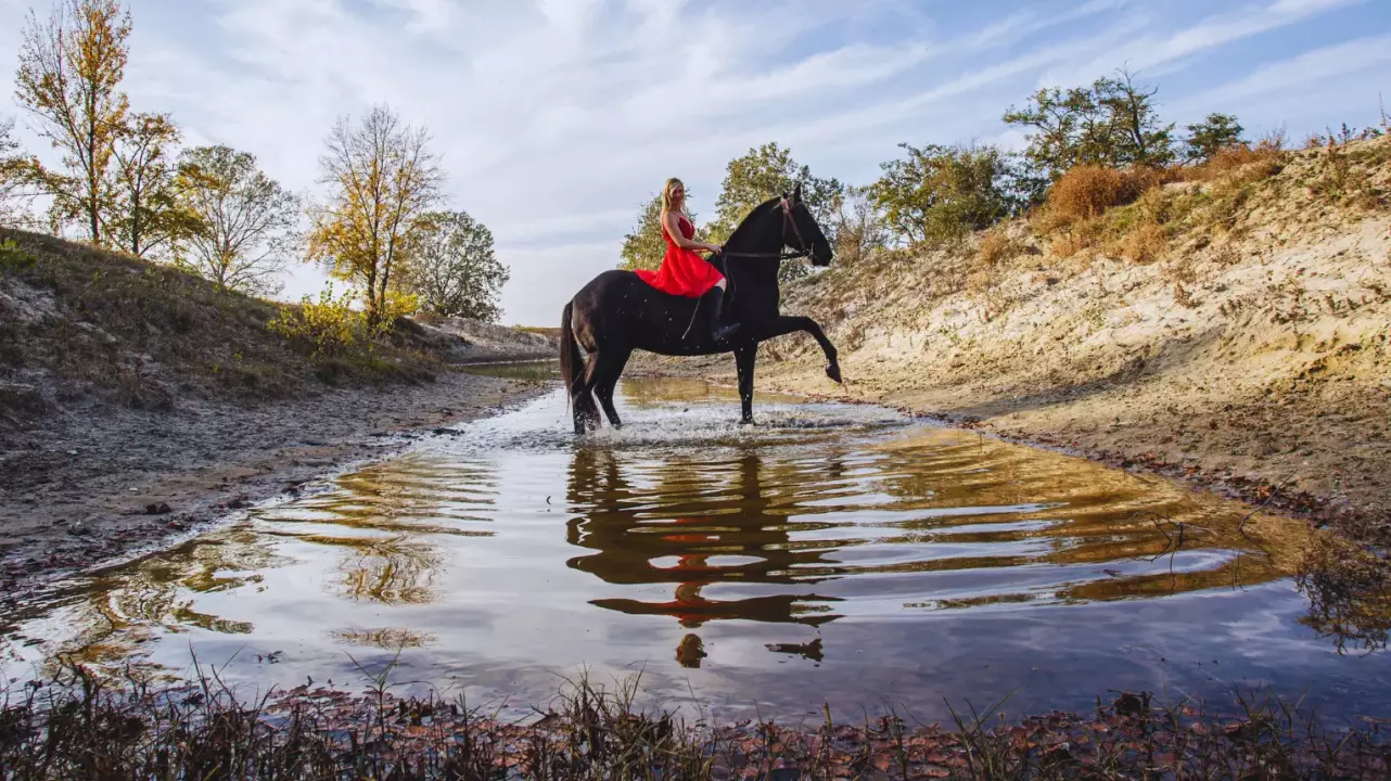 Tűzpirosba öltözött álom – Menyecske fotózás Akhal Teke lovakkal Ópusztaszeren! fő kép