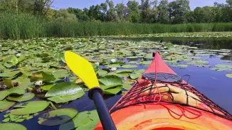 Természet, élmények, szabadság! – Tisza-tavi kenus vízitúra (Gyerekeknek) kosár